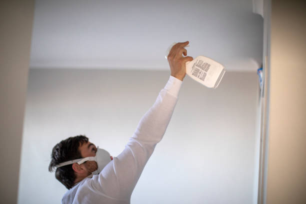 Best Certified Mold Removal  in Rotan, TX
