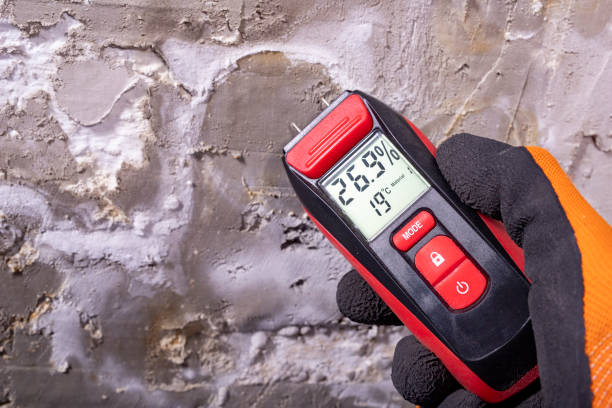 Best Water Damage Restoration  in Rotan, TX